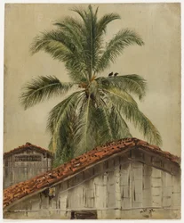 Palmeiras e telhados de casas, Equador