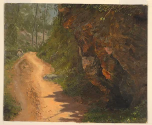 Caminho da floresta, Jamaica