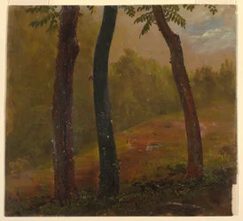 Cena da floresta, Jamaica