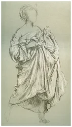 Estudo de Daphnephoria, c1880-1882
