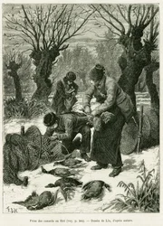 Apanhar patos na rede. Gravura de Lix, para ilustrar a história A Through Alsace and Lorraine, em 1887, de Charles Grad, deputado alemão, no tour du monde 1888, dirigido por Edouard Charton (1807-1890), Hachette, Paris.