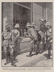 Velhos amigos, conchas à venda em uma vitrine em Ladysmith