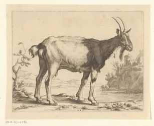 Cabra Livro de desenho de Abraham Bloemaert (título da série)
