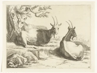 Caprinos
O livro de desenho de Abraham Bloemaert (título da série)