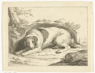 Spaniel
O livro de desenho de Abraham Bloemaert (título da série)