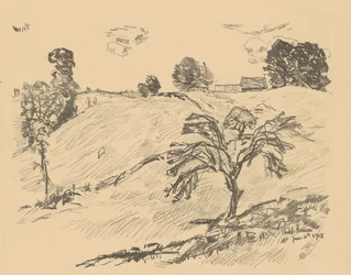 Floresta.