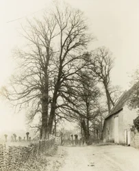 Mansão Kelmscott: Estrada e entrada