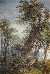O Ramo Quebrado, 1881.