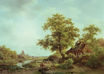 Uma paisagem arborizada