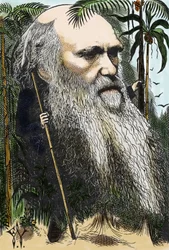 Charles DARWIN (1809-1882) caricatura de F. Waddy em "in Once A Week" de 1873.