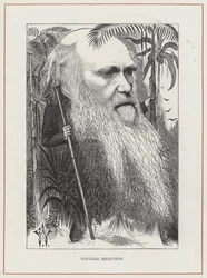 Charles Darwin, Seleção Natural