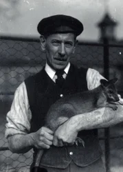 Um guardião segura um wallaby, outubro de 1920 (foto a p/b)