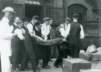 Uma equipe de homens carrega um jacaré assistido por sir Peter Chalmers Mitchell, zoológico de Londres, 1924