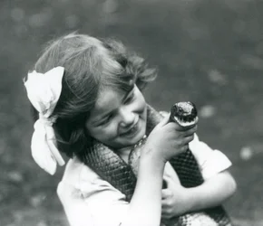 Uma jovem garota Betty segurando uma serpente de índigo Oriental, zoológico de Londres, 1924