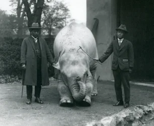AlbinoWhite Elephant Pawah com Dr. Saw Po Min e Filho, Zoológico de Londres, em maio de 1926