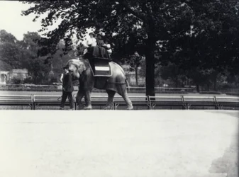 Elefante asiático &39;Jessie&39; dando uma carona para duas senhoras e uma criança, enquanto sendo liderado por um guardião no zoológico de Londres, maio de 1914