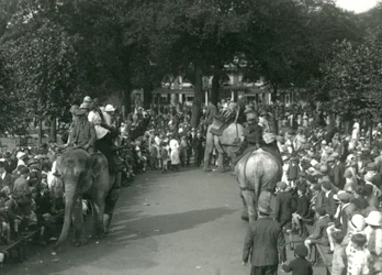 Passeios de Elefante, com três elefantes asiáticos observados por multidões de espectadores no Jardim Zoológico de Londres em agosto de 1926 (foto a p/b)