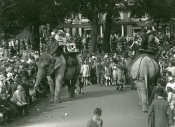 Passeios de Elefante, com dois elefantes asiáticos observados por multidões de espectadores no Jardim Zoológico de Londres em agosto de 1926 (foto a p/b)