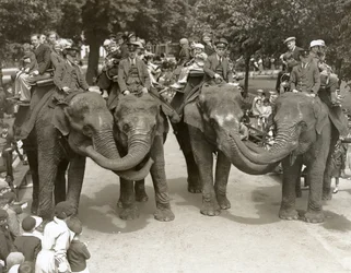 Passeios de elefante no zoológico de Londres, julho de 1936