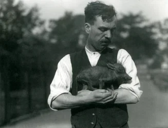 O goleiro Harry Warwick embala um filhote de Warthog em seus braços no zoológico de Londres, em agosto de 1922