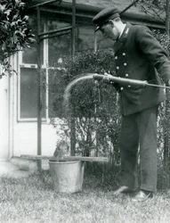 Guardião Thomas Raggett dando um Tawny Frogmouth um chuveiro, London Zoo, 1924