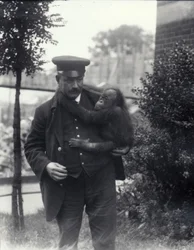 Guardião Z. Rodwell segurando jovem orangotango no zoológico de Londres, outubro de 1913