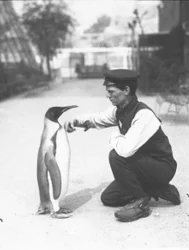 King Penguin, com o goleiro Harry Munro, 1914