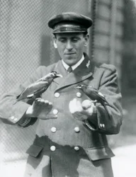 Dois pássaros Myna nas mãos do goleiro Thomas Raggett, Zoológico de Londres, junho de 1924