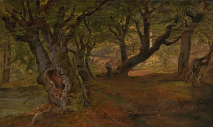 Vista da floresta de Bregentved, Sjaelland