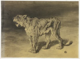 Rugido de leoa