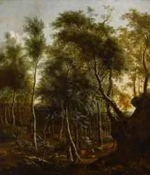 Uma paisagem arborizada