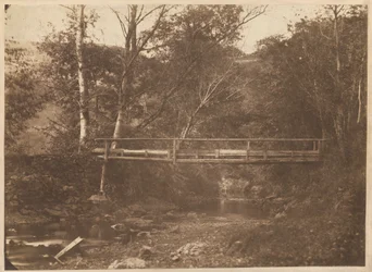 Paisagem com árvores e ponte