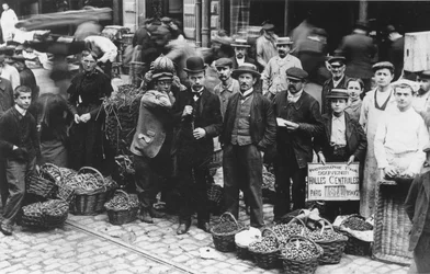 Jardineiros do mercado de Les Halles, Paris, 1907