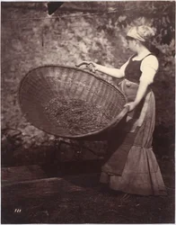Mulher camponesa com cesta de joeirar