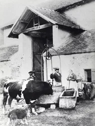 Camponeses ao redor de um poço, no pátio de uma fazenda, c.1860-70 (foto a p/b)