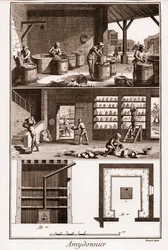 AMDONIER - Amydonnier - "The Great Encyclopedie, ou Dictionnaire Raisonne des Sciences, des Arts et des Metiers" (Enciclopédia ou Dicionário das Ciências, Artes e Profissões) por Denis Diderot (1713-1784) e Jean d
