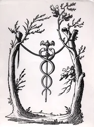 Um caduceu