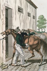 Um, dragão, grooming, seu, cavalo, prato, 257, de, um, série, de, francês, imperial, soldados, c.1800-10