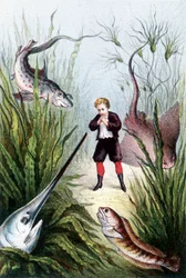 Um rapaz rodeado de peixes gigantes - in "Viagem ao fundo do mar" de H. de la Blanchère. Paris, ed. Jouvet et Cie, sd. 1880. (duplo 02941)