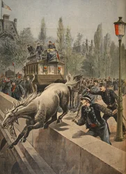 Um cavalo a suicidar-se, ilustração de Le Petit Journal: Supplement illustré, 1898