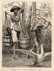 Um residente de Hatien (Vietnã) carregando baldes e cesta e uma criança caçando um ganso com um pau, gravando após um desenho de Robin ilustrando a viagem a Cochinchine, pelo Dr. Morice, em 1872, publicado em "Le tour du monde" 1875, editado por E