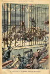 Um domador é devorado por seus leões em um menagerie em Dessau, Alemanha. Gravura em "Le Petite Parisien", no dia 27/12/1903.