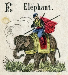 Abecedário. Carta E como Elefante. Pequeno alfabeto enciclopédico, série popular. Imagem epinal, final do século XIX.