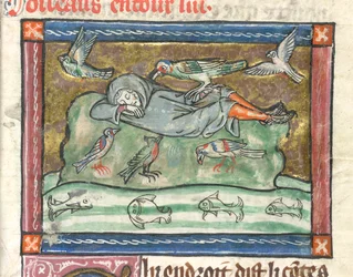 Adicionar. 10292, f.29 Um homem adormecido rodeado de pássaros, ilustração de 