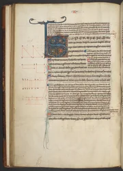 Arundel 84, f.33v, decorado S inicial (vellum)