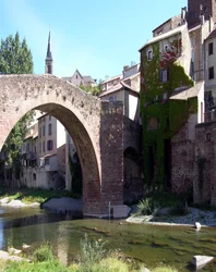 Ponte