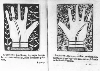 Mãos Chiromantic, ilustração de Princípios Chiromatiae ... Anastasis por Bartolommeo della Rocca (Cocles) 1467-1504) 1555