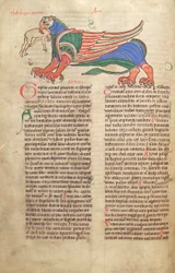 Bacalhau. Guelf. 1 gud. lat. 39v, A Griffin Devorando um Homem, de Liber Floridus por Lambert de Saint-Omer c.1120