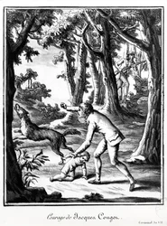 Coragem de Jacques Cougon, 1799
