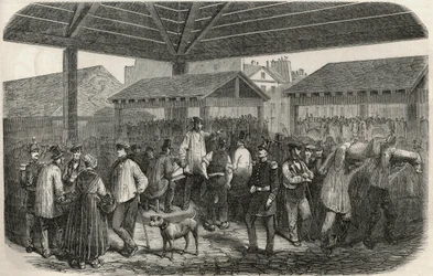 Carne de talho de Cree no mercado na rue des Prouvaires no I arrondissement de Paris - Gravação em "Tableau-de-Paris" de Edmond Texier 1852